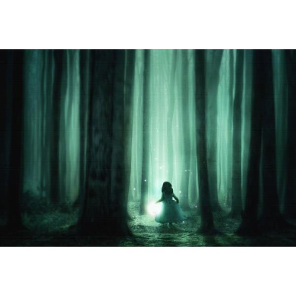 Little Girl In The Forest