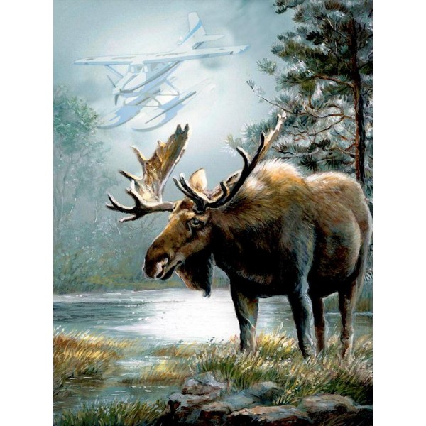 Alaska Moose With Floatplane