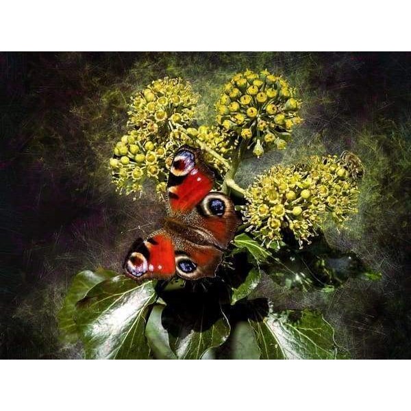 Light In The Darkness