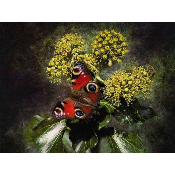 Light In The Darkness