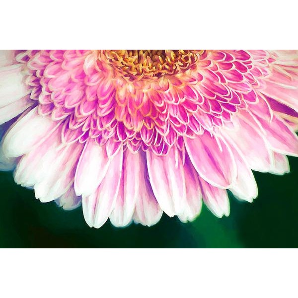 Painted Gerber Daisy