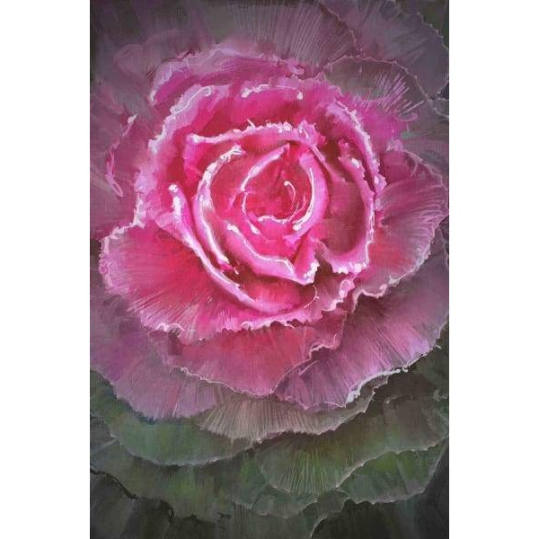 Flowering Cabbages