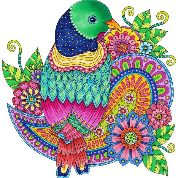 Colors Of Nature Birdie