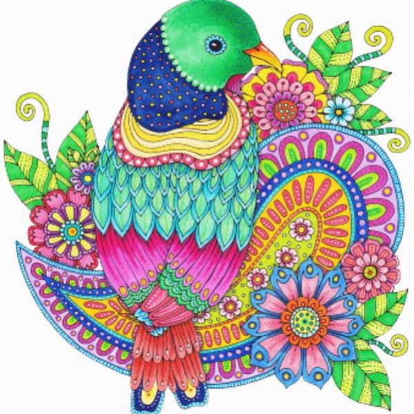 Colors Of Nature Birdie