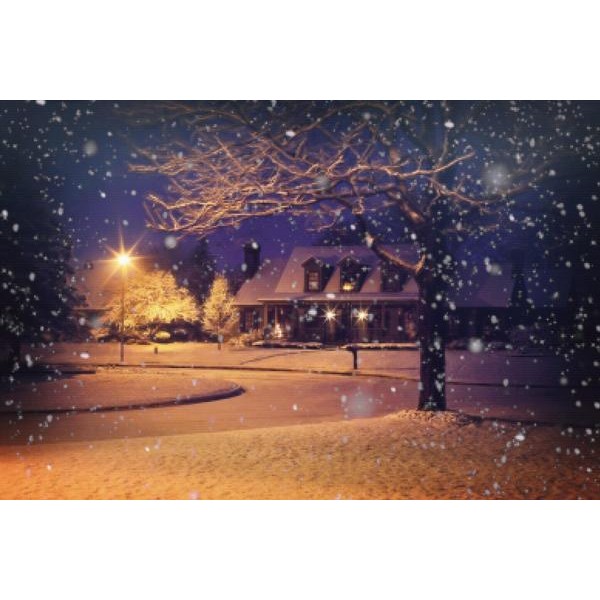 Silent Christmas Night