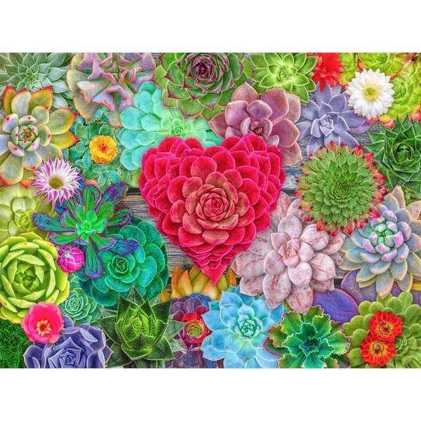 Succulent Love (2-4 Day Shipping)