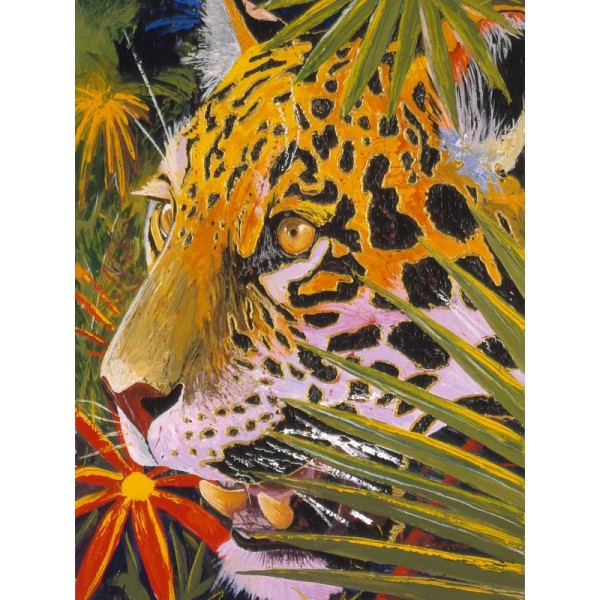 Jaguar Jungle