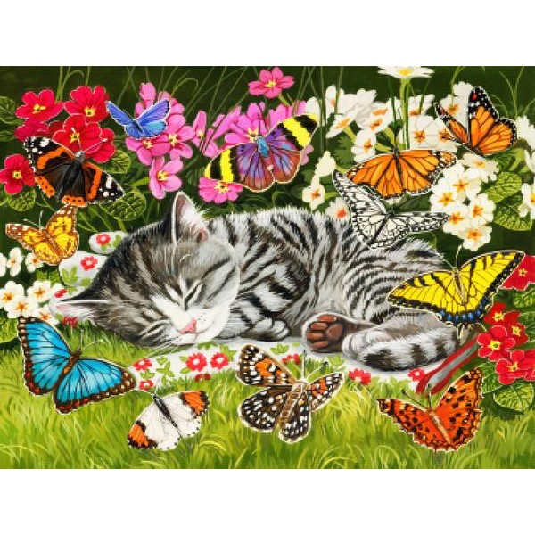 Blanket of Butterflies