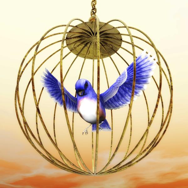 Golden Cage Blue Bird