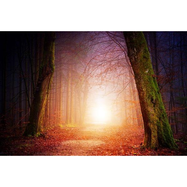 Path To Enlightenment