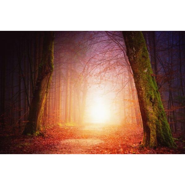 Path To Enlightenment