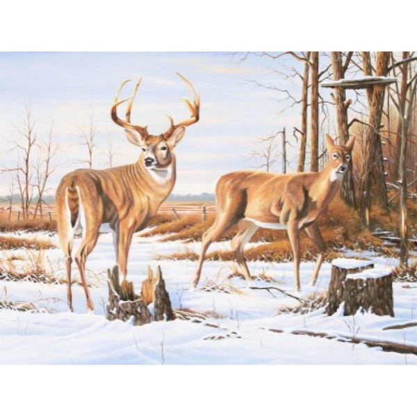 Missed Opportunity 2