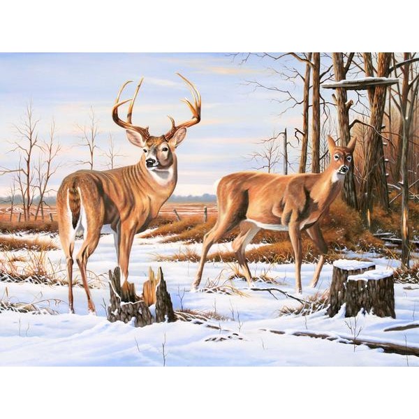 Missed Opportunity 2