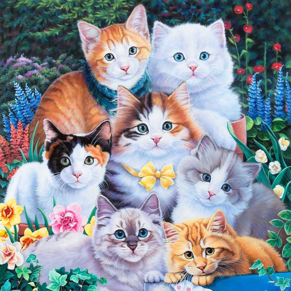 Kitten Collage 2