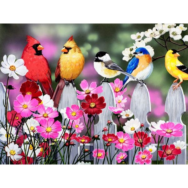 Song Birds and Cosmos