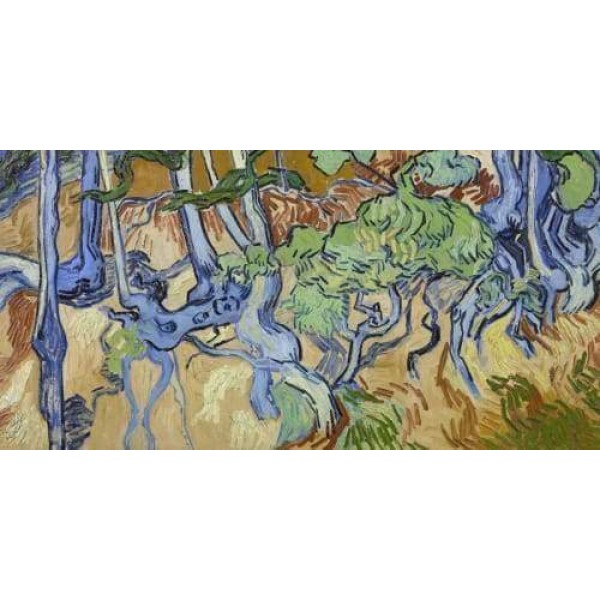 Tree Roots And Trunks