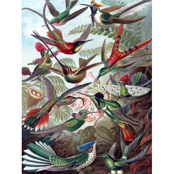 Vintage Hummingbirds