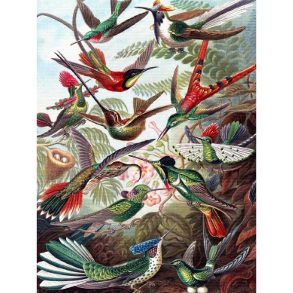 Vintage Hummingbirds