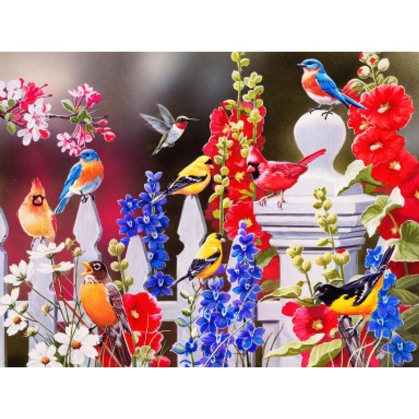 Birds - Spring-Summer Theme