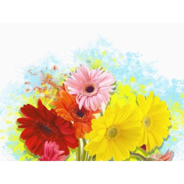 Watercolor Flowers