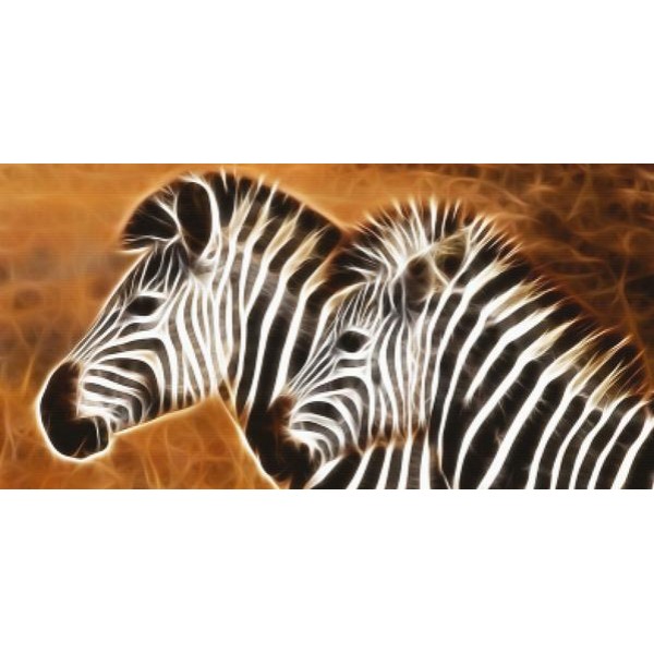 Chasing Zebras