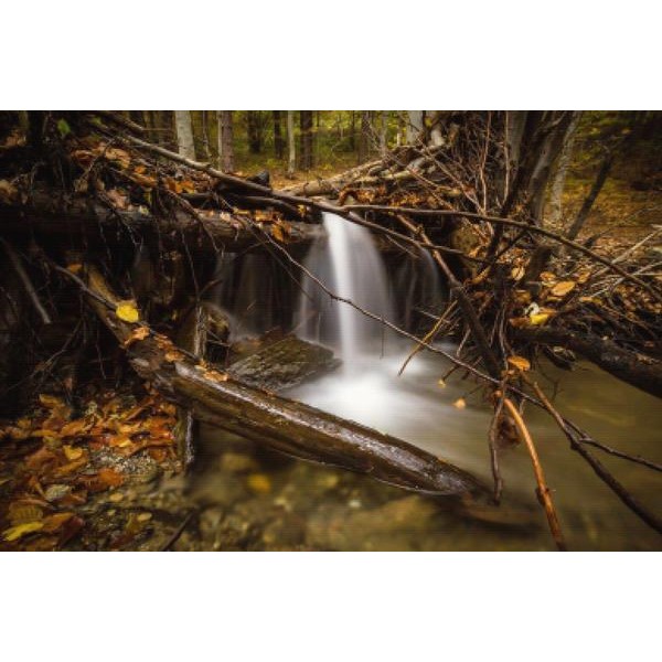 At Peace With Nature