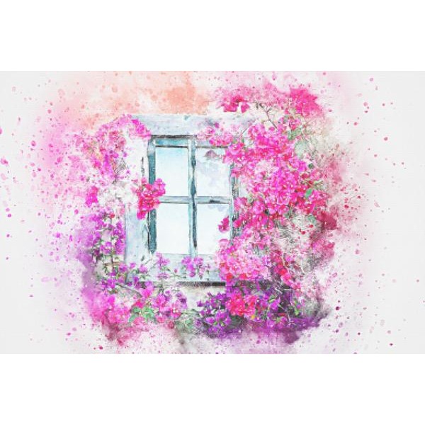 Flowers Outside My Window