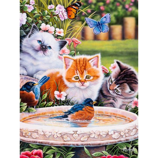 Splashing Up Some Fun