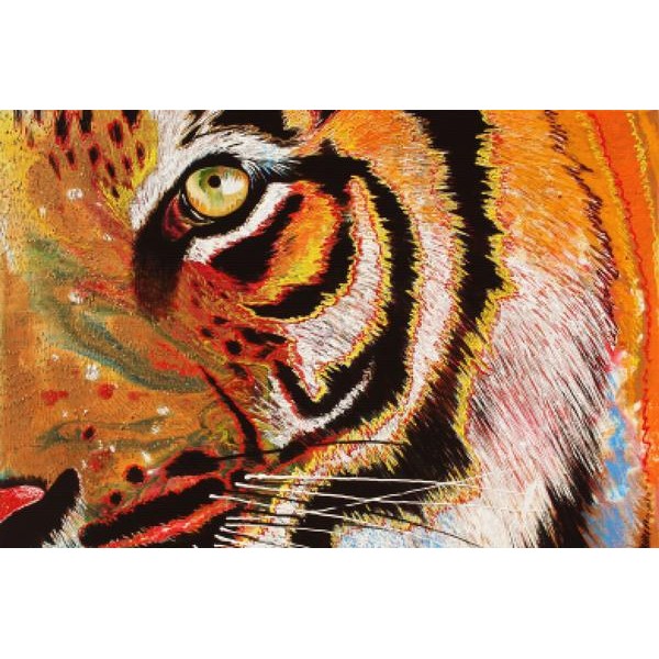 Tiger Burning Bright