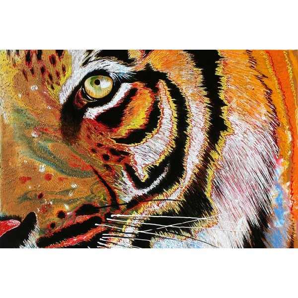 Tiger Burning Bright