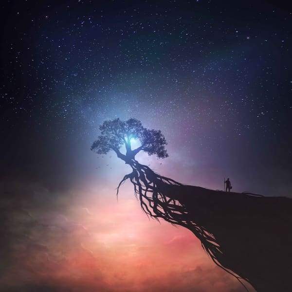 Tree On A Cliff