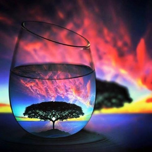Tree In A Glass