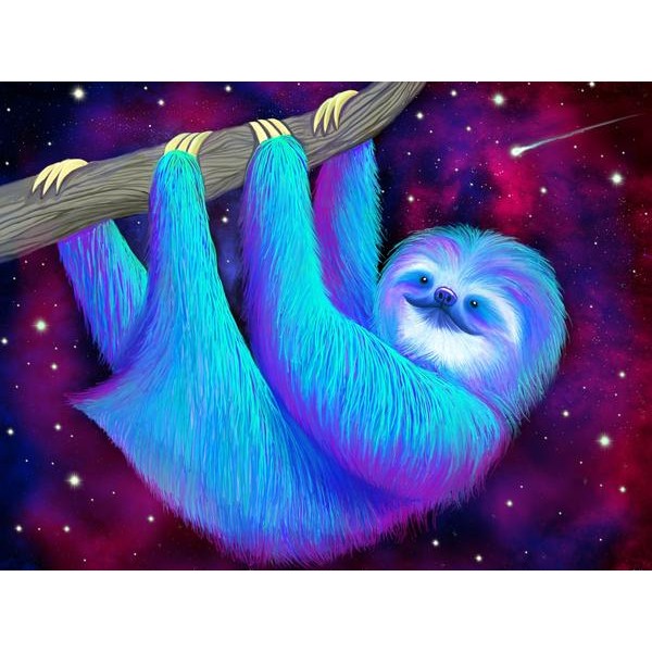 Starry Night Sloth