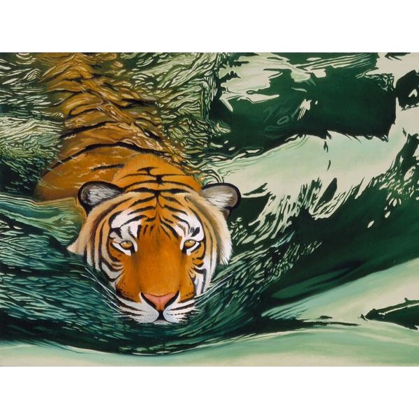 Tiger Waters