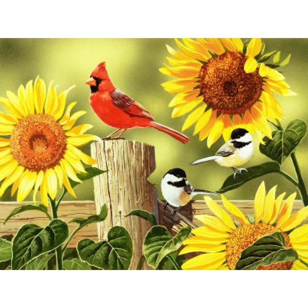 Sunflowers and Songbirds