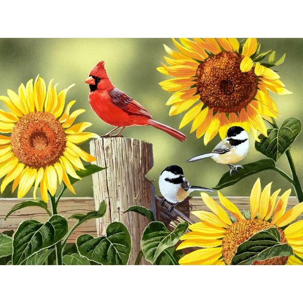 Sunflowers and Songbirds