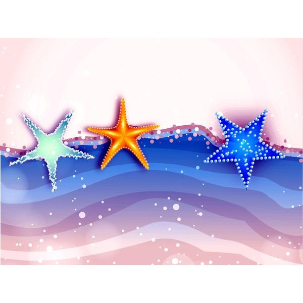 Seashells By The Sea Shore