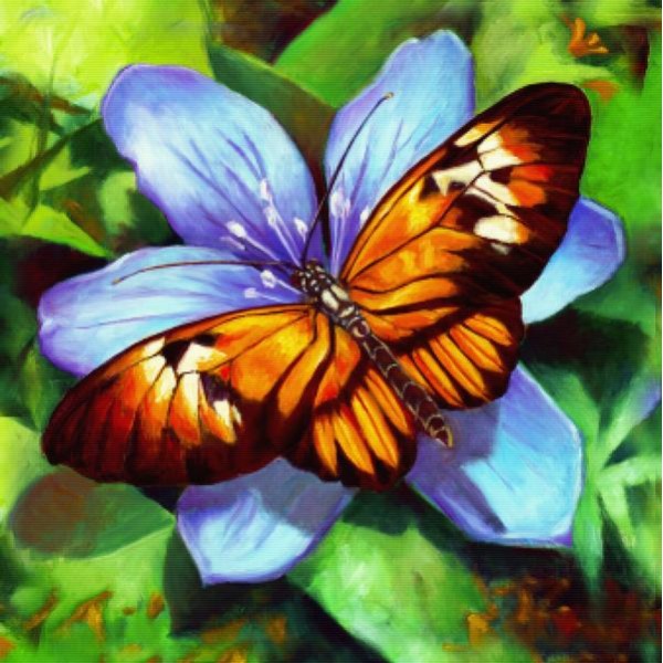 Orange Piano Key Butterfly