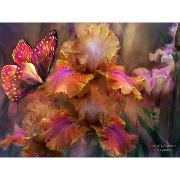 JUMBO Goddess Of Sunrise