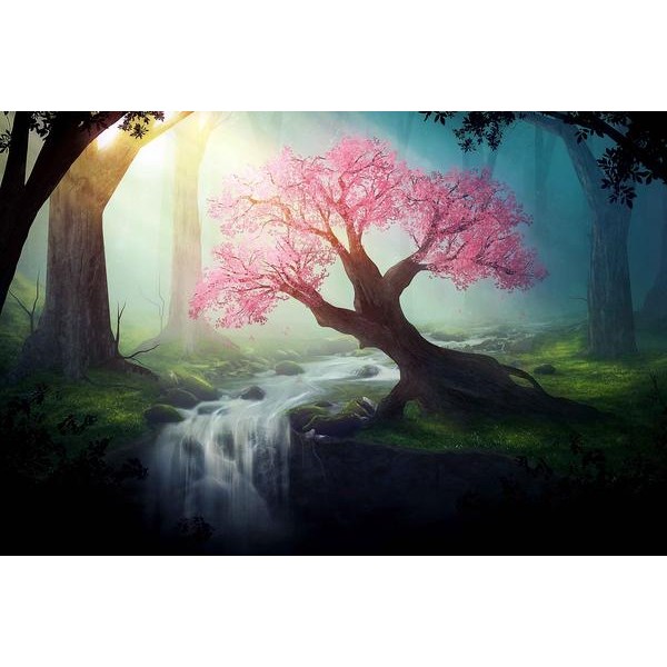 Middle Of The Forest