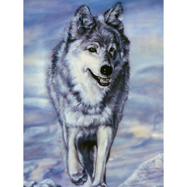 Lord Of The Winterland