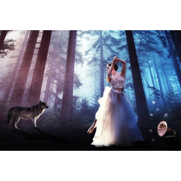 The Ballerina And The Wolf