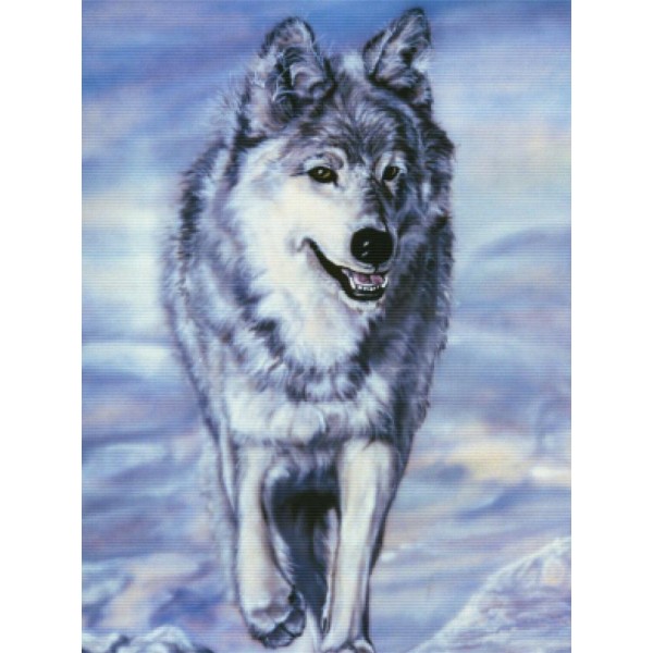 Lord Of The Winterland