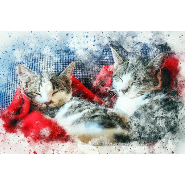 Cozy Kittens