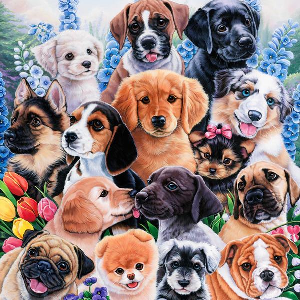 Puppy Collage