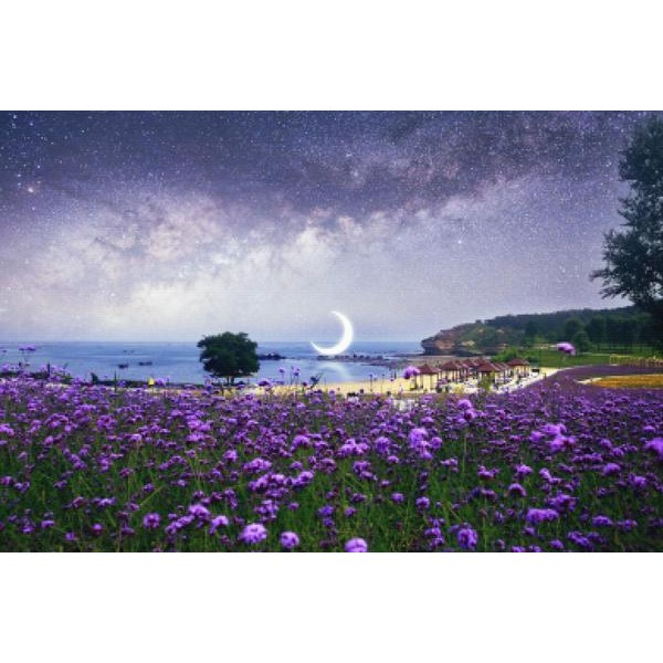 Purple Fantasy Field