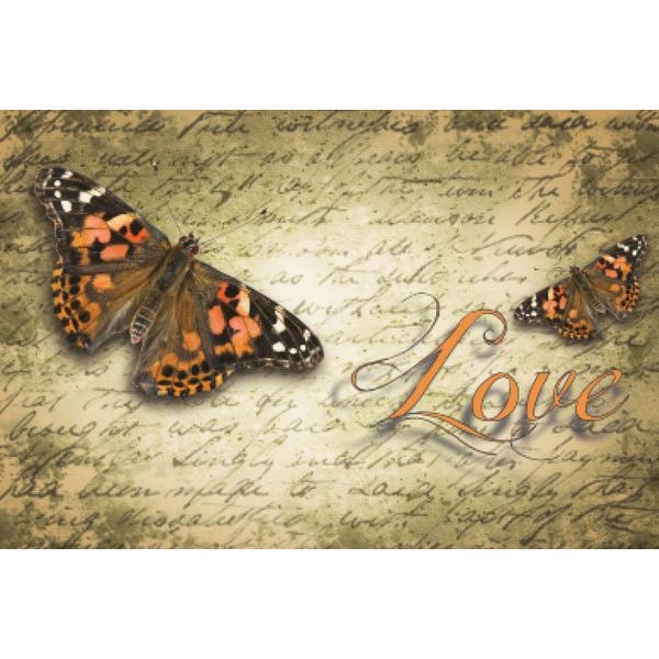 Love And Butterflies