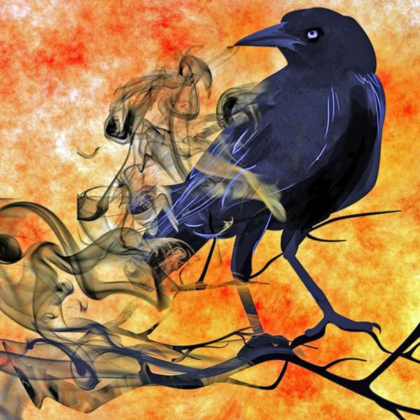 Mystical Crow