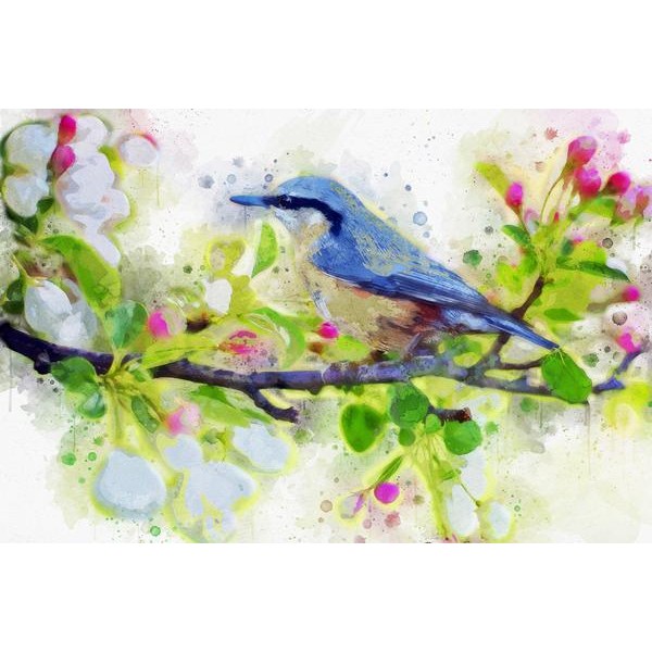 Spring Bird Watercolor