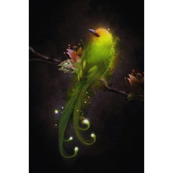 Fluorescent Feathers